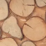 Holz Festmeter berechnen - Formel & Beispiel
