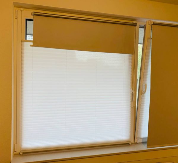Fenster